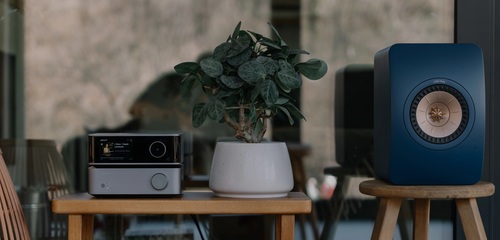  WIIM Vibelink AMP