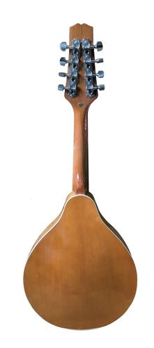 מנדולינה + נרתיק  Solid Spruce top