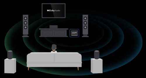 WiiM Sub Pro