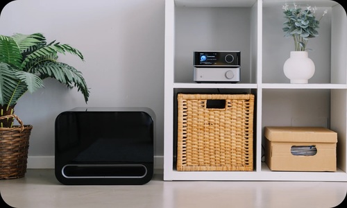 WiiM Sub Pro