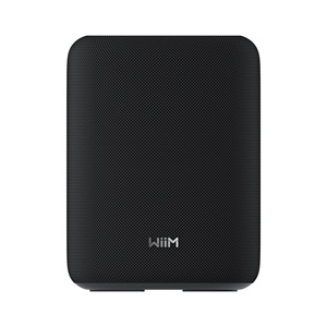 WiiM Sound Lite