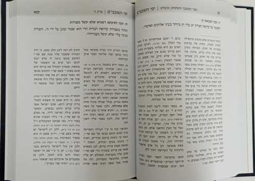 ימי השובבי