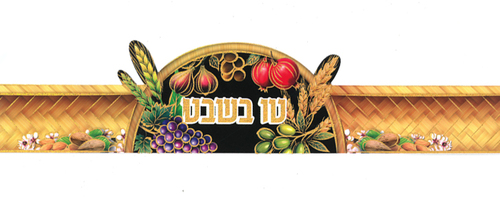 כתר לט