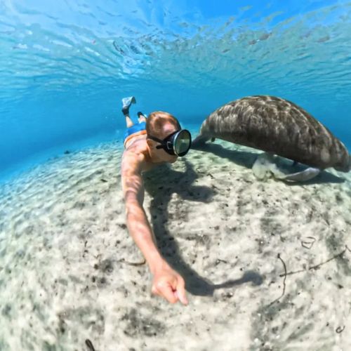 מארז צלילה עבור מצלמת Insta360 X5 Invisible Dive Case