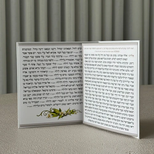 סדר הבדלה מפואר דגם בבא סאלי