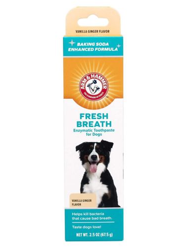 משחת שיניים אנזימטית וניל וג'ינג'ר Arm & Hammer