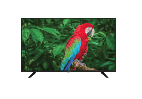 טלוויזיה חכמה 55 אינץ' QLED 4K מערכת הפעלה WebOS