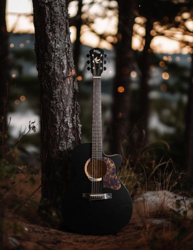 גיטרה אקוסטית צבע שחור Gopherwood ( Korea) i232RC Midnight Dust