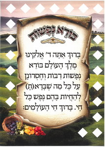 ברכת בורא נפשות בהטבעת זהב