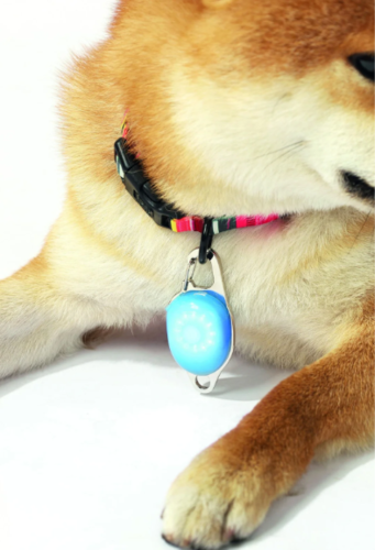 תג פנס לד נטען כחול לכלבים - M-PETS Rechargeable Led Jewel