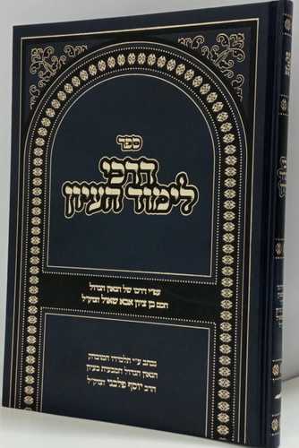 דרכי לימוד בעיון - פלבני