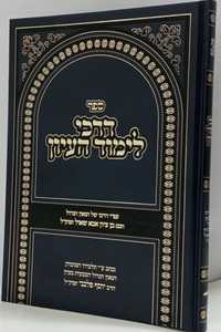 דרכי לימוד בעיון - פלבני