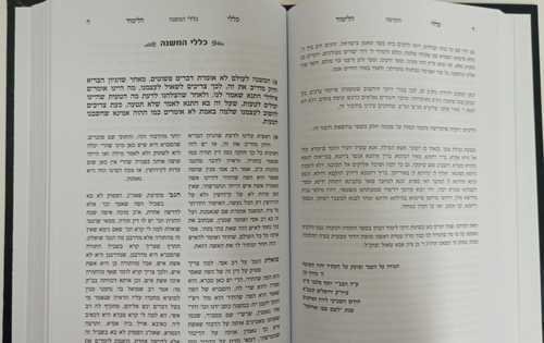 חמדת יוסף ח