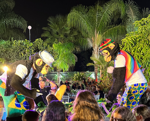 מסיבת קופים על קביים