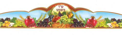 20 כתר לט