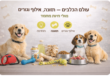 תזונת כלבים וחתולים – מדריכים לבחירה נכונה-מולי חיות מחמד