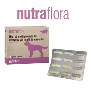 נוטרה פלורה NutraFlora פרוביוטיקה לכלבים וחתולים (48 קפסולות)- נוטרה-וט