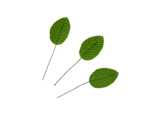 עלים ירוק בהיר 