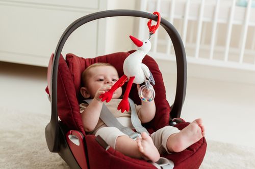 בובת פעילות רב-תחושתית עם נתלית - חסידה