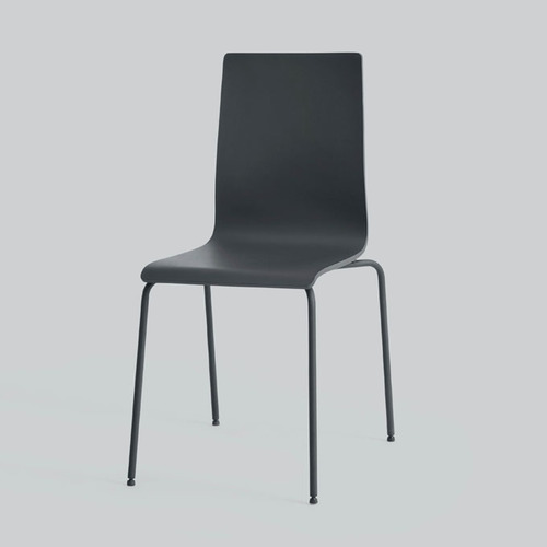 2X ספריי צבע Charcoal Gray