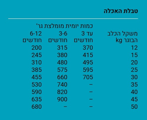 קרוקקס וולנס עוף ואורז 12 ק