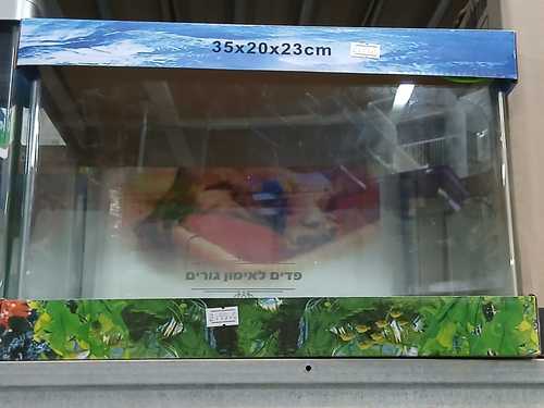 טרריום מזכוכית מידות 23*20*35 