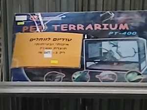 טרריום מזכוכית לזוחלים מידות 45*45*50