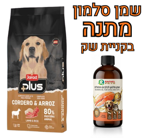 ג