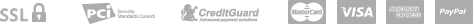 payment_icon