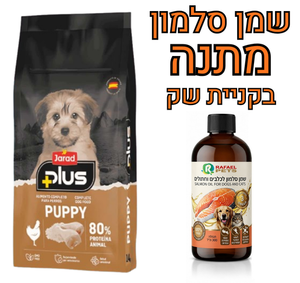ג