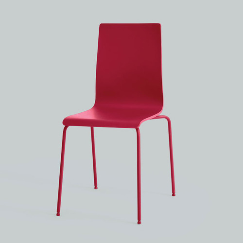 ספריי צבע  Matte Rustic Pink 2x
