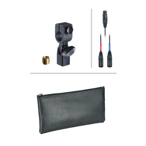 מיקרופון בעל שתי דיאפרגמות לבייס דראם Audio Technica AE2500