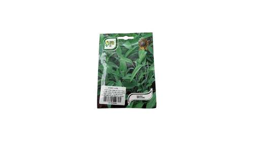 זרעי מרווה רפואית Salvia