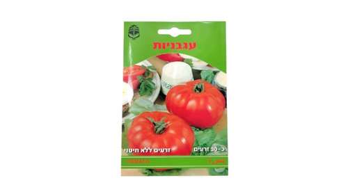 מארז כ-30 זרעי עגבניות ללא חיטוי