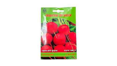 מארז כ-100 זרעי צנונית ללא חיטוי
