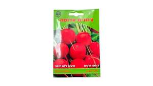 מארז כ-100 זרעי צנונית ללא חיטוי