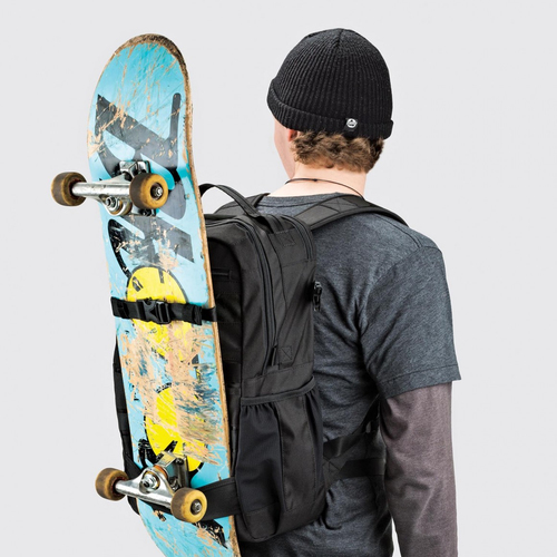 תיק LOWEPRO VIEWPOINT BP 250 AW