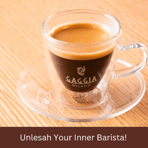 מכונת קפה אוטומטית גאג'יה בסאנה Gaggia Besana