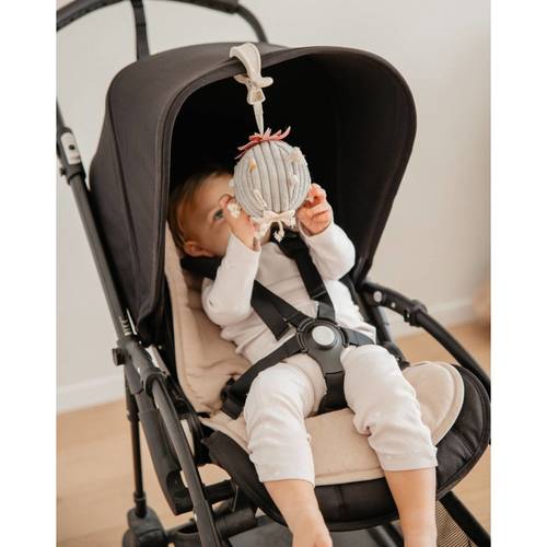 בובת משחק והתפתחות לתלייה - קקטוס