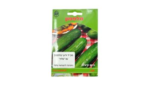 זרעי מלפפון עם 
