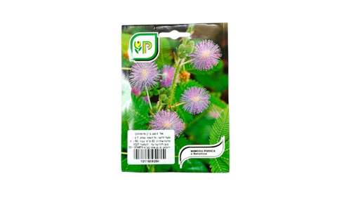 זרעי אל תיגע בי / מימוזה (Mimosa Pudica) לזריעה