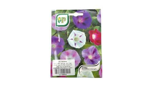 זרעי איפומיאה תערובת (Ipomea Grandiflora Miscuglio)