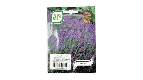 זרעי לבנדר (Lavanda) לזריעה ביתית