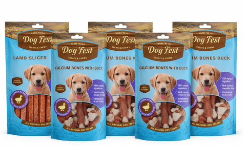חטיפים לגורים דוג פסט 5 יח Dog Fest Puppy במבצע