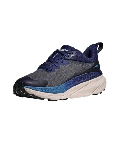 נעלי ספורט גברים CHALLENGER ATR 7 GTX כחולות - HOKA