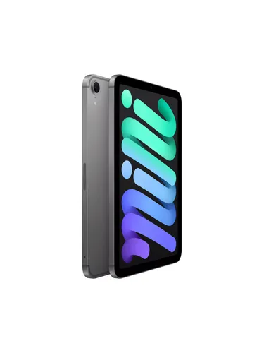 iPad mini