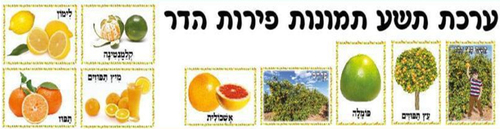 ערכת תמונות פרי הדר/ אפונה