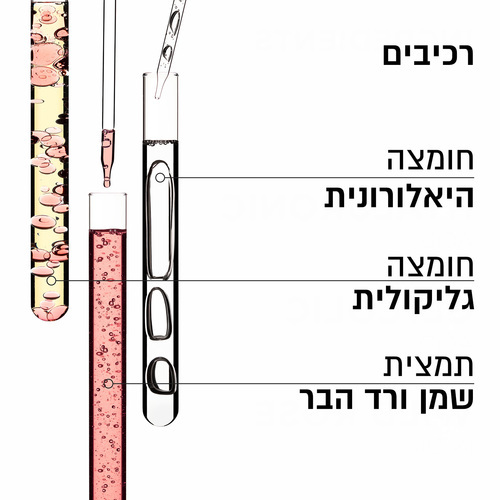שמפו גלוס אבסולו ללא סולפטים, לשליטה בנפח בלתי רצוי (Anti Frizz) וברק עוצמתי לשיער עבה-250 מ