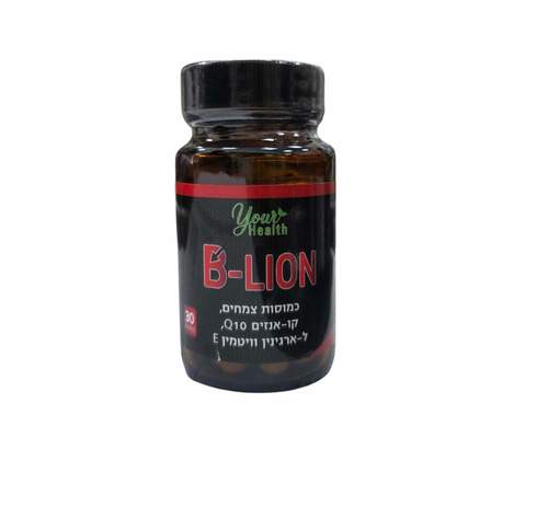 B LION בי ליון