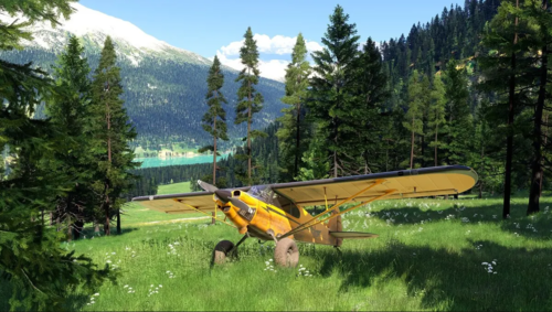 Microsoft Flight Simulator 2024 PS5